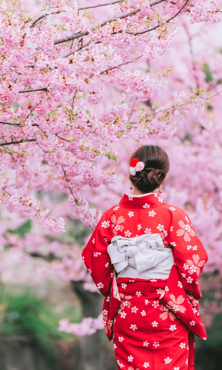 ความหมายและตำนานดอกไม้ญี่ปุ่น 9 ชนิด ” THE LEGEND OF THE JAPANESE FLOWER “